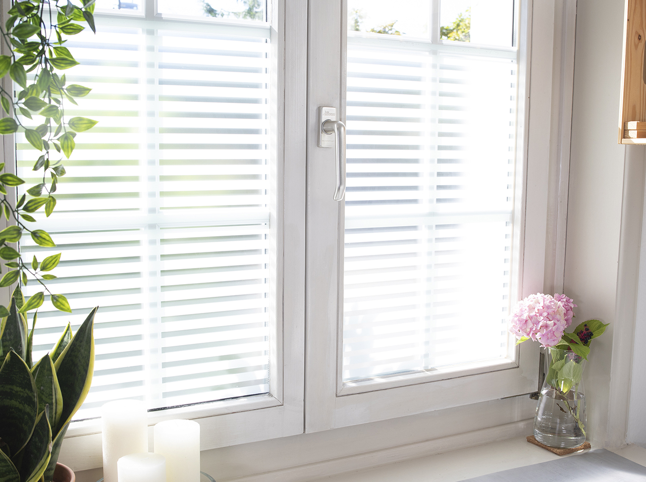 Statické fólie na okno